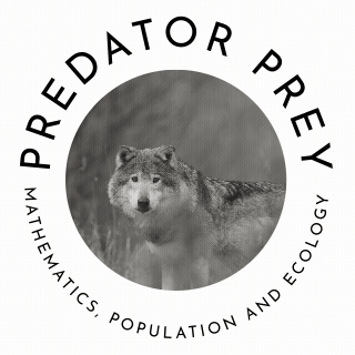 Predator prey population simulation